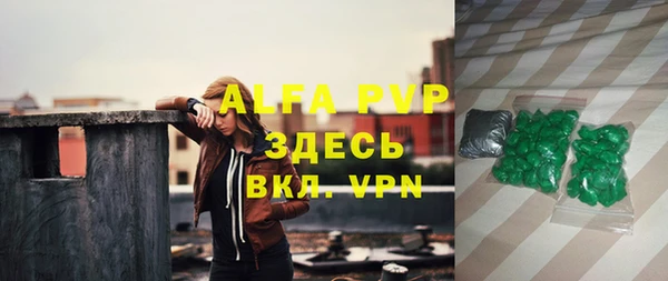 ПСИЛОЦИБИНОВЫЕ ГРИБЫ Осинники