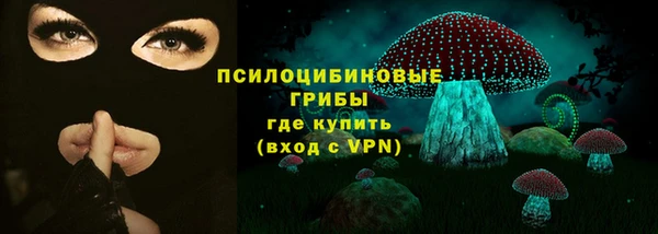 ПСИЛОЦИБИНОВЫЕ ГРИБЫ Осинники